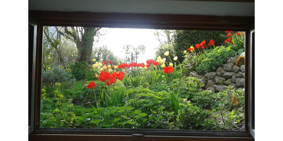 Wohnen auf Zeit Grafrath - 1 Zimmer, 30 m&sup2;, 590&euro; | Angebot:25660316