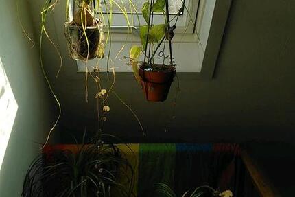 gemütliches Zimmer in fünfer WG Nürtingen, 300 zimmer