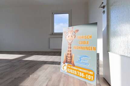 Wohnung Schönebeck - 4 Zimmer, 65 m&sup2;, 357&euro; | Angebot:25894414