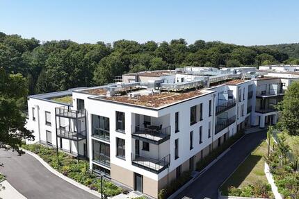 Wohnung Höhr-Grenzhausen Grenzhausen - 2 Zimmer, 63 m&sup2;, 756&euro; | Angebot:25720877