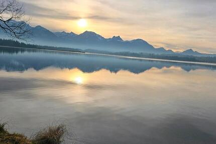 1 Zimmer zu vermieten 1 zimmer