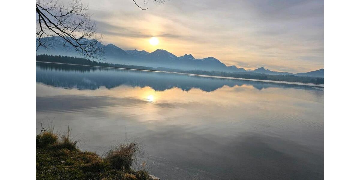 1 Zimmer zu vermieten 1 zimmer