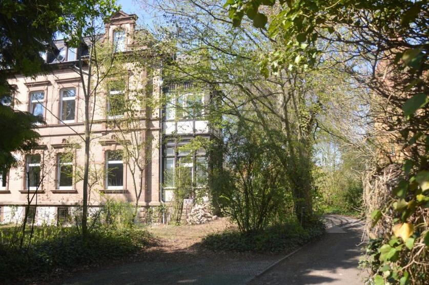 Spacious,tastefully renovated,elegantly furnished StudioApartment