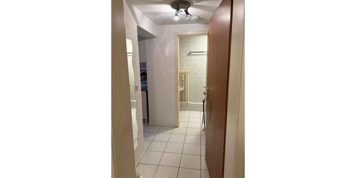 1 Zimmer Apartment in 69502 Hemsbach 1 zimmer