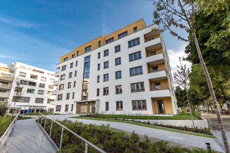 Etagenwohnung Ludwigshafen Süd - 2 Zimmer, 62 m&sup2;, 900&euro; | Angebot:27243550