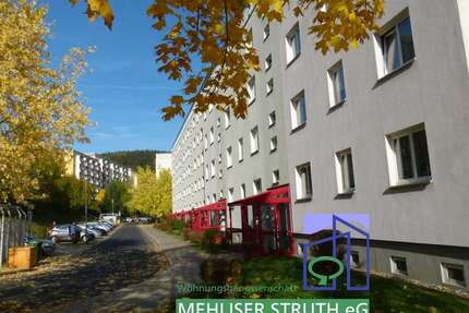 Wohnung Zella-Mehlis Mehlis - 2 Zimmer, 50 m&sup2;, 300&euro; | Angebot:24775450