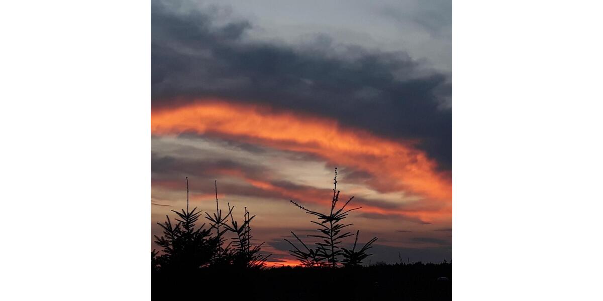 Etagenwohnung Coswig (Anhalt) - 3 Zimmer, 60 m&sup2;, 635&euro; | Angebot:25935268