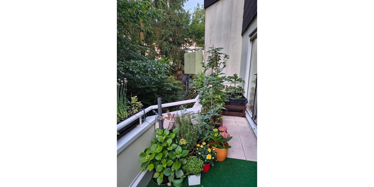 Etagenwohnung Saarbrücken Kieselhumes - 2 Zimmer, 75 m&sup2;, 780&euro; | Angebot:26030607