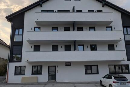 Wohnung Worms Nördliche Vororte - 1 Zimmer, 62 m&sup2;, 950&euro; | Angebot:27626902