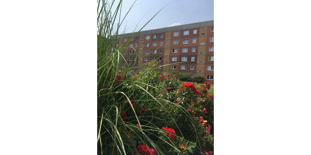 Etagenwohnung Olbersdorf - 2 Zimmer, 54 m&sup2;, 325&euro; | Angebot:26491673