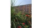 Etagenwohnung Olbersdorf - 2 Zimmer, 54 m&sup2;, 325&euro; | Angebot:26491673
