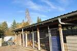 Einfamilienhaus Seegebiet Mansfelder Land Hornburg - 4 Zimmer, 115 m&sup2;, 1.100&euro; | Angebot:26358741