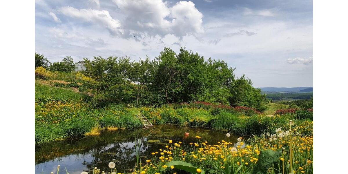 Zimmer frei in Hof-Wohngemeinschaft 3 zimmer