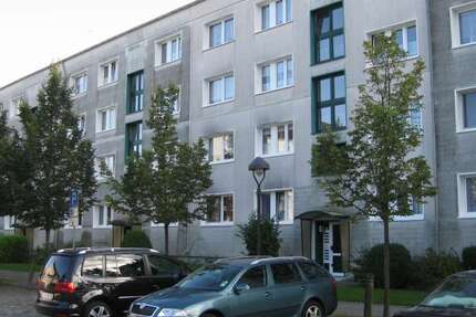 Wohnung zum Mieten in Anklam 439,65 € 48.85 m² 2 zimmer