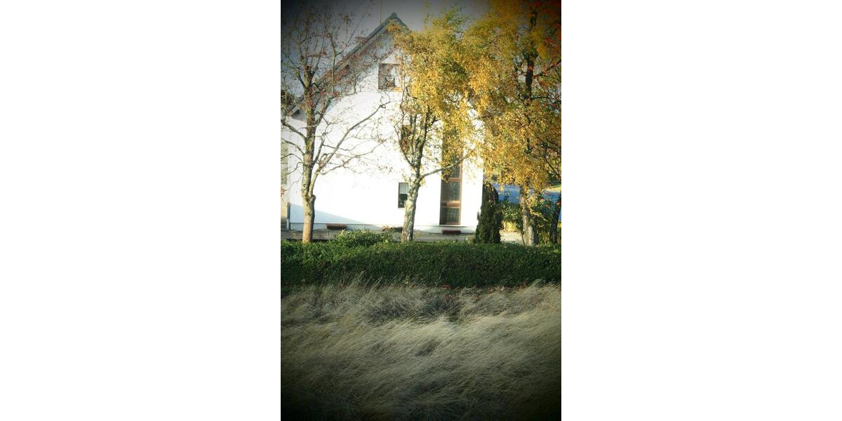 Doppelhaushälfte Schuld - 6 Zimmer, 126 m&sup2;, 1.150&euro; | Angebot:26016005