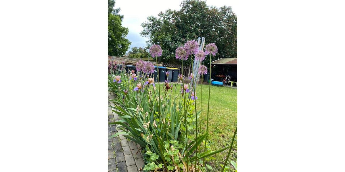 Erdgeschoßwohnung Groitzsch - 1 Zimmer, 39 m&sup2;, 292&euro; | Angebot:26213076