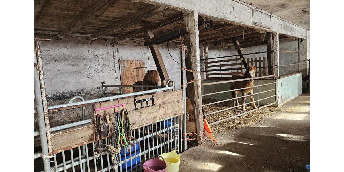 Gewerbeobjekt Geestland Bad Bederkesa - 1.200&euro; | Angebot:26110572