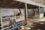 Gewerbeobjekt Geestland Bad Bederkesa - 1.200&euro; | Angebot:26110572