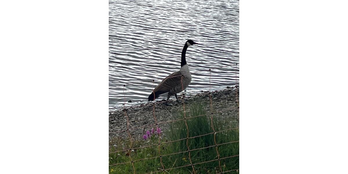 3 Zimmer-Wohnung Erfurt Stadt 3 zimmer
