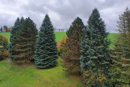 Wohnung zum Mieten in Klingenberg 535 € 93 m² 3.5 zimmer