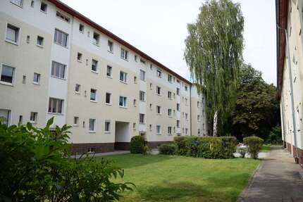 Wohnung zum Mieten in Berlin 549 € 54 m² 2 zimmer