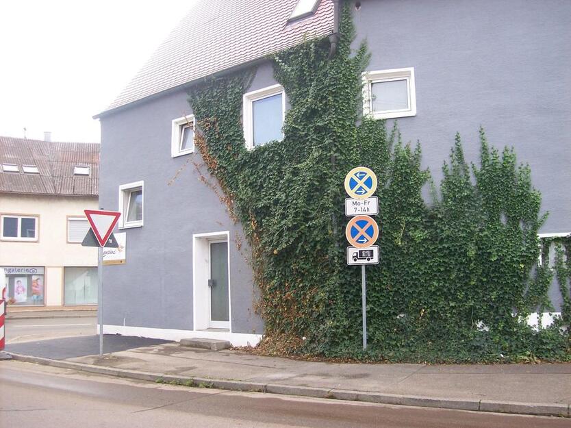 2 ZKB in 89420 Höchstädt 85qm, auch WG möglich, sofort FREI