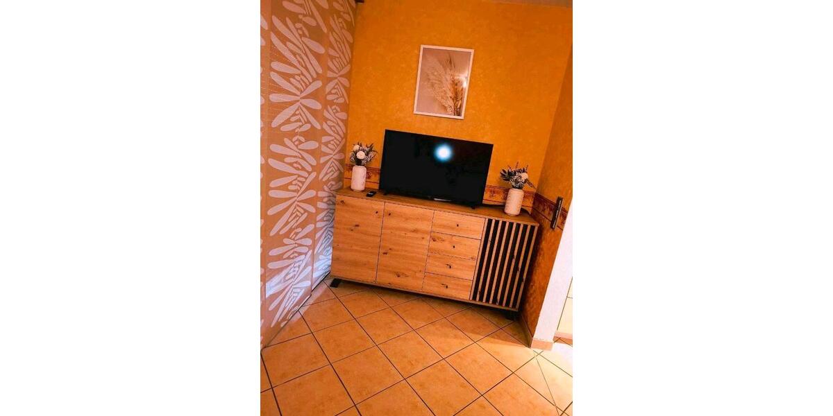 Wohnen auf Zeit Freiburg im Breisgau Munzingen - 1.5 Zimmer, 50 m&sup2;, 950&euro; | Angebot:26287089