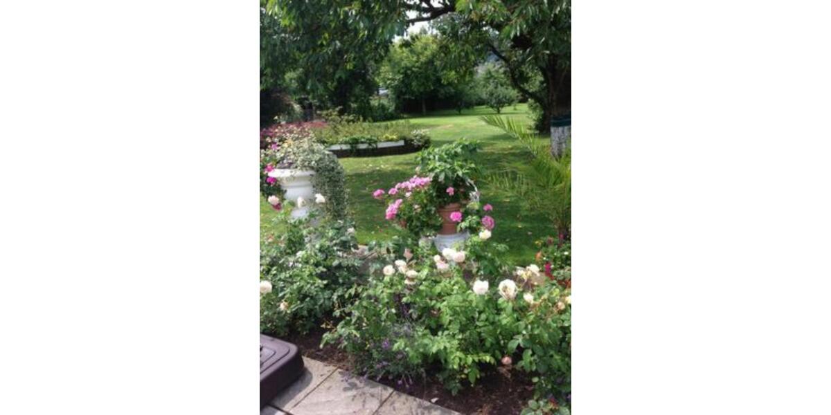 Etagenwohnung Willebadessen - 2 Zimmer, 60 m&sup2;, 480&euro; | Angebot:25654721