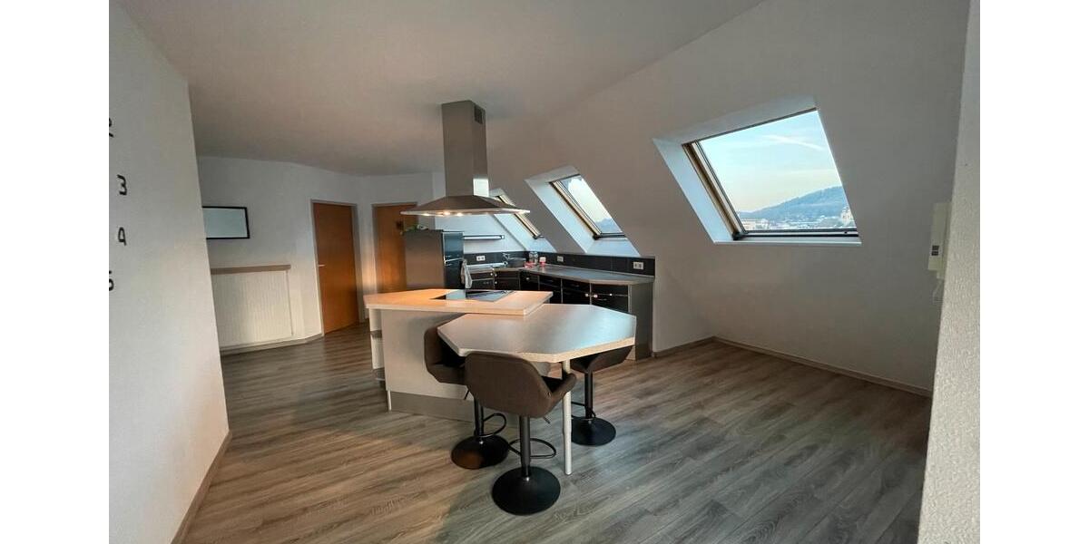 Dachgeschoßwohnung Haiger - 2 Zimmer, 100 m&sup2;, 1.250&euro; | Angebot:25233669