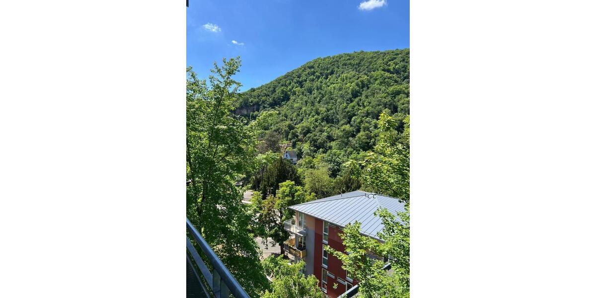 Etagenwohnung Bad Kreuznach Bad Münster am Stein-Ebernburg - 1 Zimmer, 31 m&sup2;, 520&euro; | Angebot:26714946
