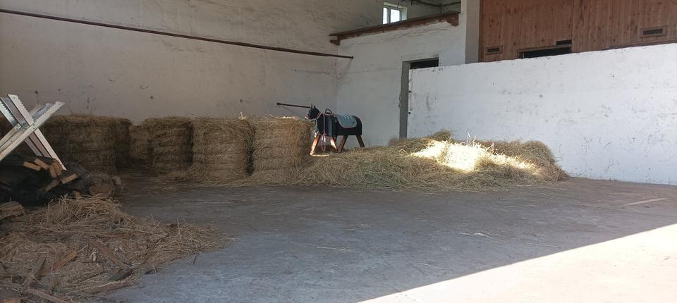 Gewerbeobjekt Plessa - 2&euro; | Angebot:25969628