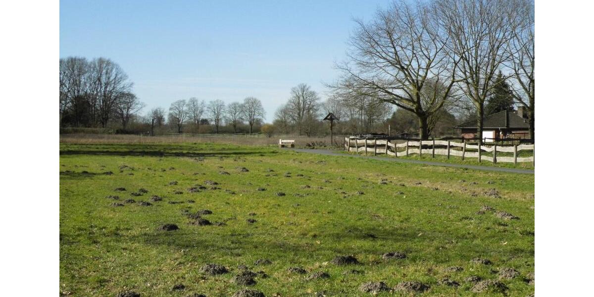 Dachgeschoßwohnung Münster Münster-Ost - 2 Zimmer, 65 m&sup2;, 750&euro; | Angebot:25780013