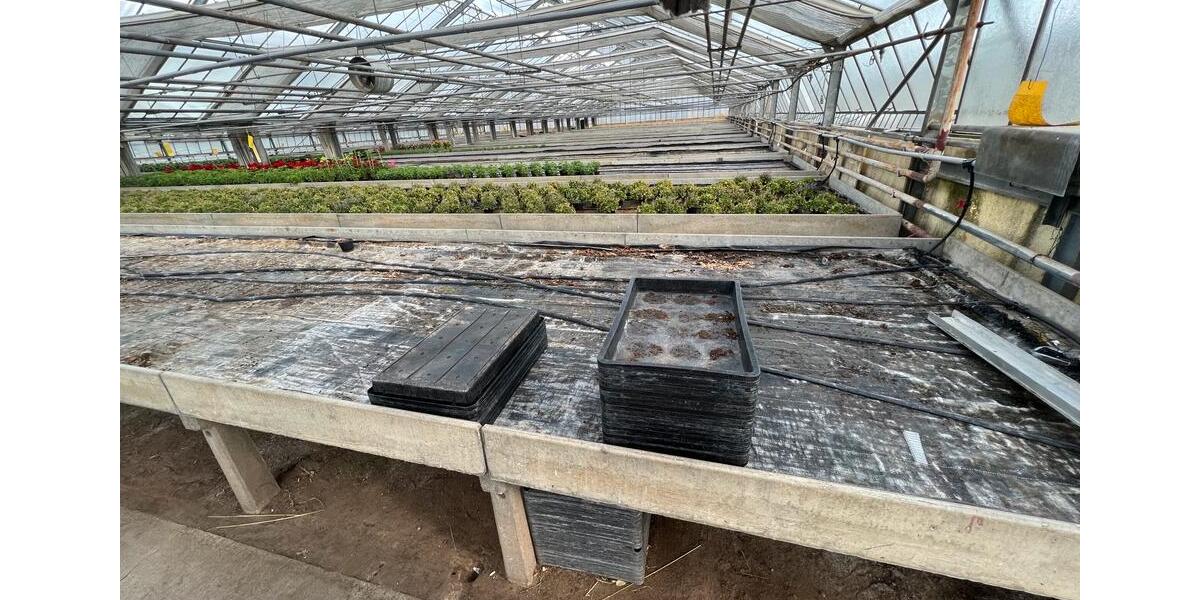 Gewerbeobjekt Obertshausen - 2&euro; | Angebot:20110778