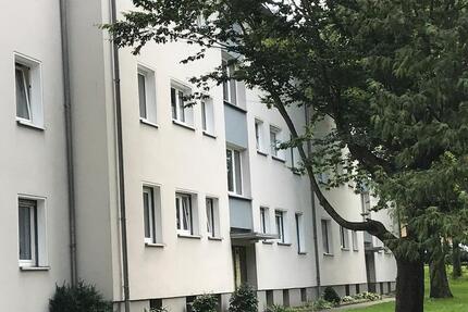 Wohnung Wolfhagen - 3 Zimmer, 70 m&sup2;, 417&euro; | Angebot:26249512