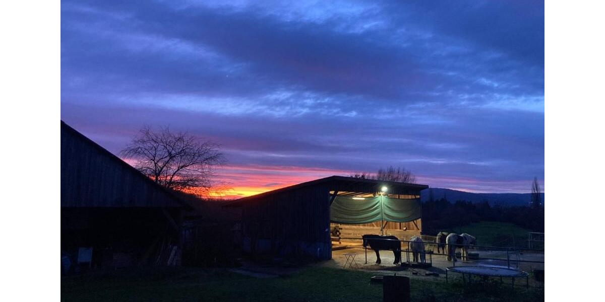 Wohnen auf Zeit Bad Münder am Deister - 1 Zimmer, 32 m&sup2;, 500&euro; | Angebot:25378824