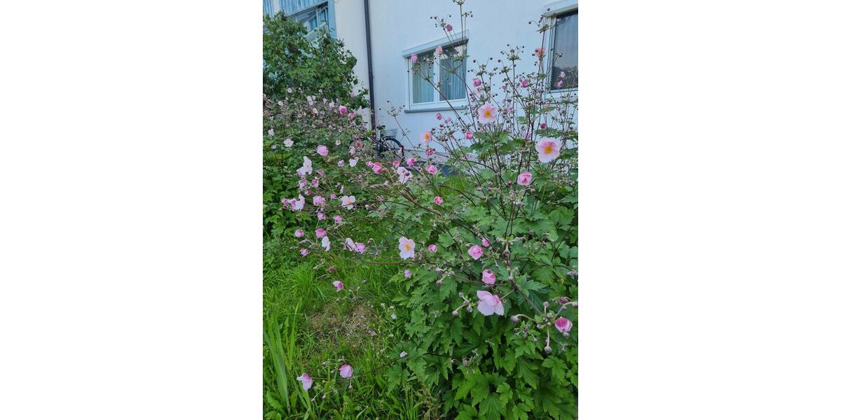 Wohnen auf Zeit Berg - 1.5 Zimmer, 35 m&sup2;, 650&euro; | Angebot:26150289