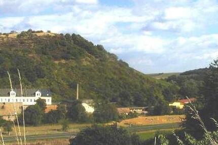 Wohnung Hackenheim - 2 Zimmer, 78 m&sup2;, 490&euro; | Angebot:25989793