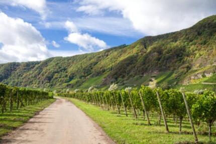 Haus Kröv - 4.5 Zimmer, 90 m&sup2;, 1.300&euro; | Angebot:24908874