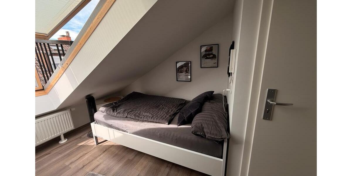Dachgeschoßwohnung Mannheim Innenstadt - 1.5 Zimmer, 25 m&sup2;, 550&euro; | Angebot:26497866
