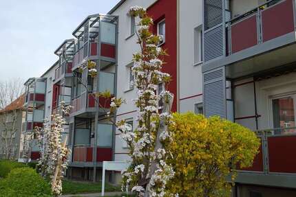 Wohnung zum Mieten in Gotha 466 € 66.55 m² 3 zimmer