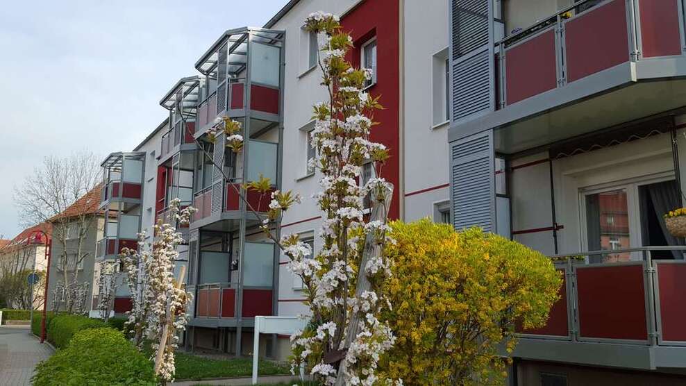 Wohnung zum Mieten in Gotha 466 € 66.55 m² 3 zimmer