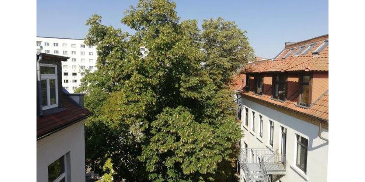 2-Zimmer-Wohnung, komplett renoviert und möbliert, in Pankow Florakiez zu vermieten 5 zimmer