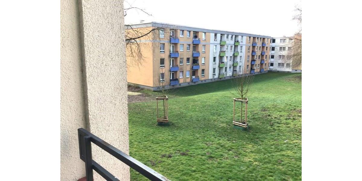 Etagenwohnung Essen Stadtbezirk VII - 3 Zimmer, 72 m&sup2;, 559&euro; | Angebot:26433778