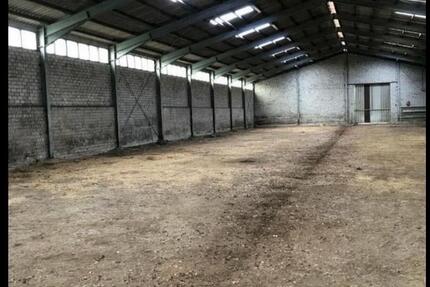 Betriebshof, Halle, Stall 1175qm zimmer