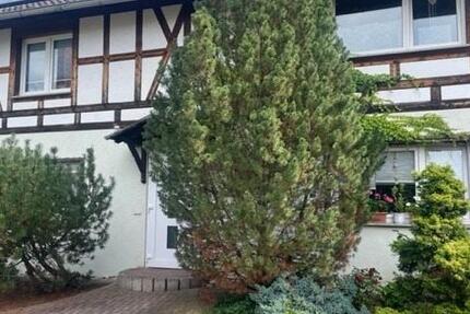 Wohnung Kelbra (Kyffhäuser) - 3 Zimmer, 60 m&sup2;, 420&euro; | Angebot:24748180