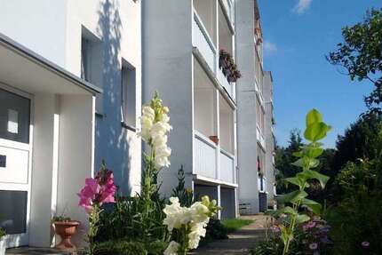 Wohnung zum Mieten in Klingenberg 425 € 76.6 m²