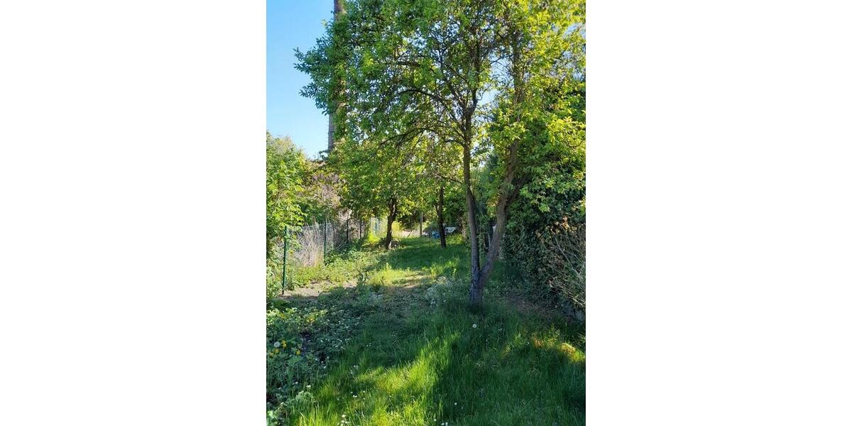 Wohnen auf Zeit Coswig (Anhalt) - 2 Zimmer, 60 m&sup2;, 25&euro; | Angebot:26214863