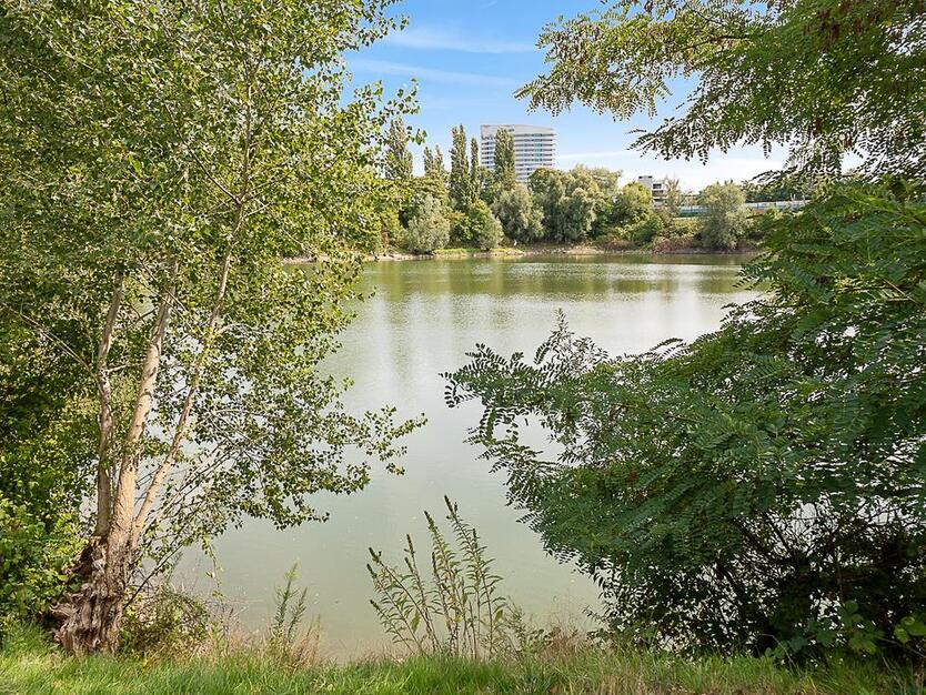 MARIS am Albertussee: Hochwertige 4-Zimmer-Wohnung für Familien (mietpreisgedämpftes Wohnen) zimmer