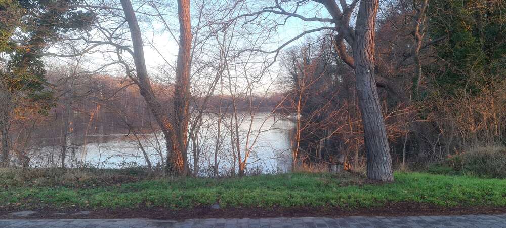 Haus zum Mieten in Petzow 1.500 € 90.86 m² 3 zimmer