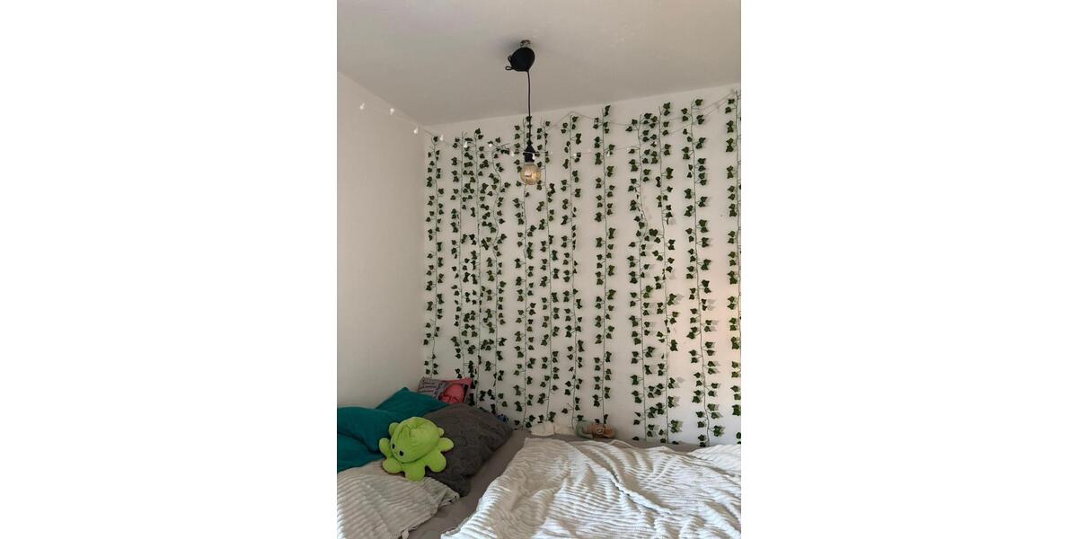 Etagenwohnung Ronshausen - 1 Zimmer, 29 m&sup2;, 200&euro; | Angebot:25883071